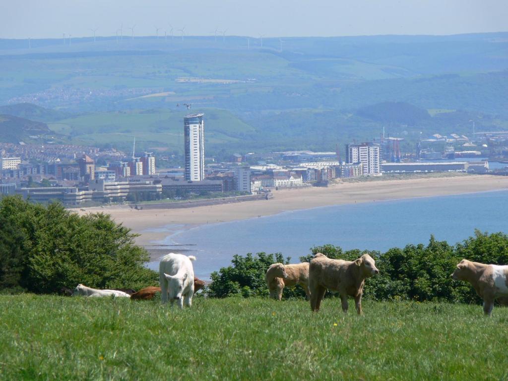 Clyne Farm Centre Villa The Mumbles Luaran gambar