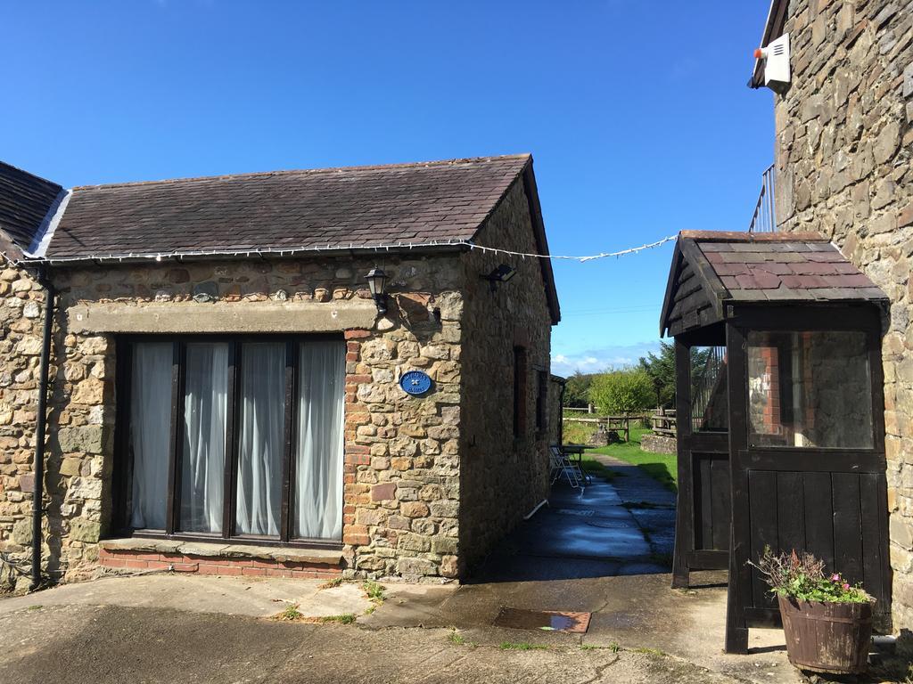 Clyne Farm Centre Villa The Mumbles Luaran gambar