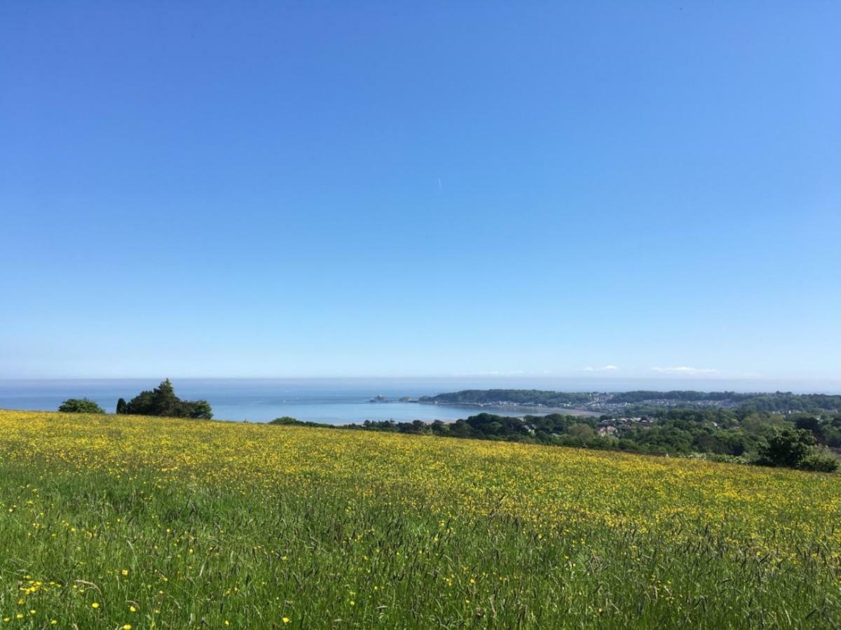 Clyne Farm Centre Villa The Mumbles Luaran gambar