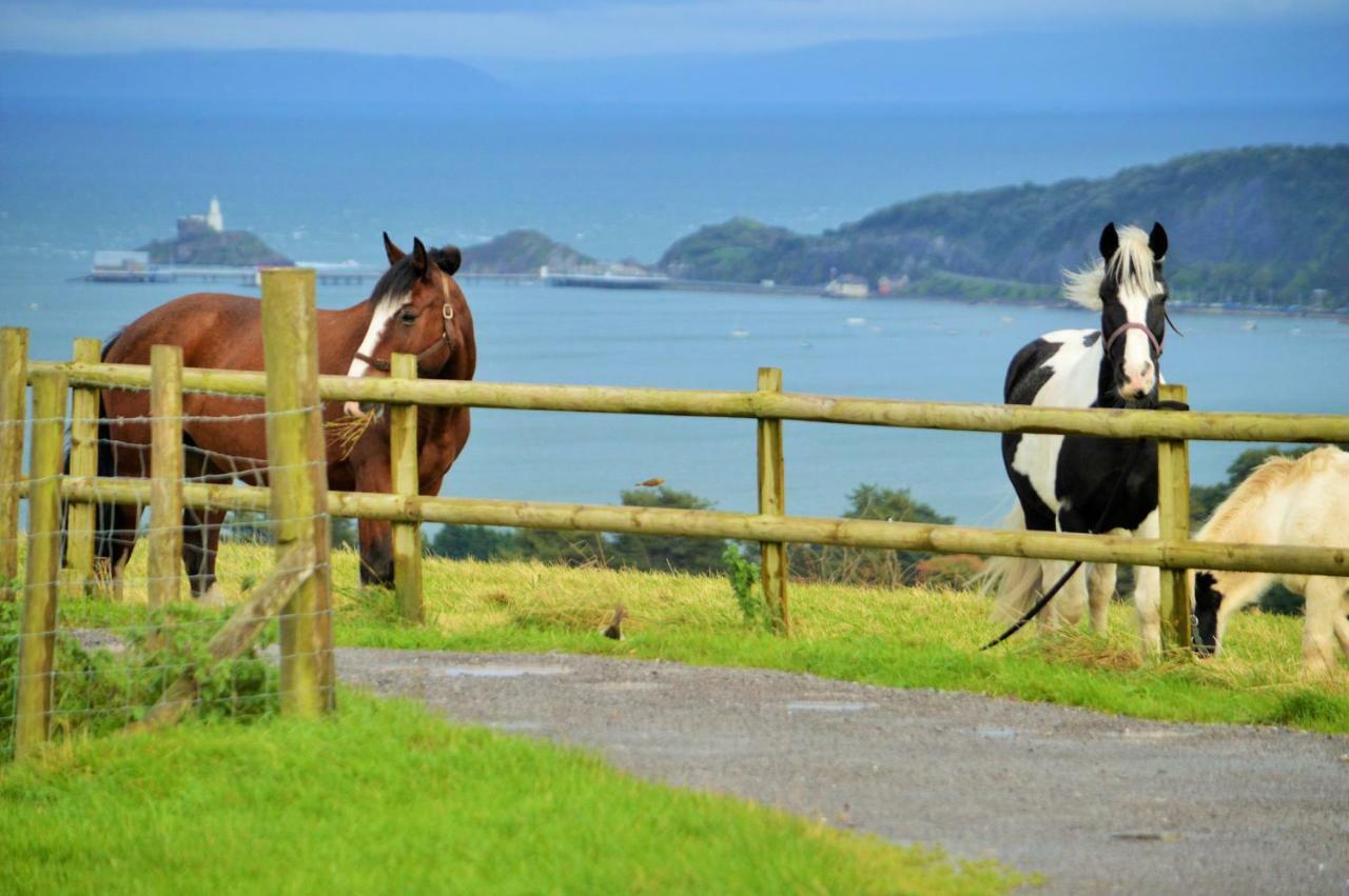 Clyne Farm Centre Villa The Mumbles Luaran gambar